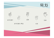 사회복지정책 최적모형-2
