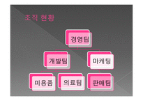 사업계획서 유기농 한방화장품-6