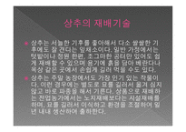 사업계획서 유기농 한방화장품-11