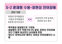 아동기 및 청소년기 정신장애-6