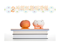 사회복지 정책론 사회복지정책의 재원2-9