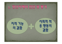 정신지체의 특성-7