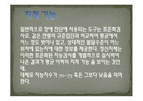 정신지체의 특성-8