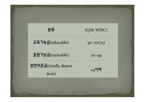 정신지체의 특성-12