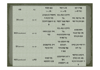 정신지체의 특성-13