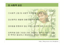 아동학대 분석 레포트-13