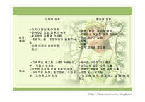 아동학대 분석 레포트-17