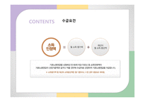 기초노령연금 레포트-11