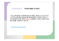 기초노령연금 레포트-14