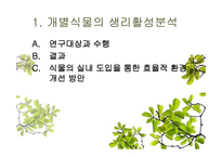 식물을 이용한 실내환경개선 시스템 개발-11