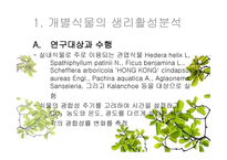 식물을 이용한 실내환경개선 시스템 개발-12