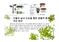 식물을 이용한 실내환경개선 시스템 개발-14