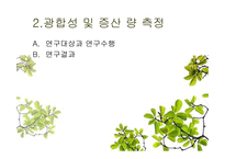 식물을 이용한 실내환경개선 시스템 개발-15