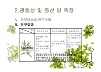 식물을 이용한 실내환경개선 시스템 개발-17