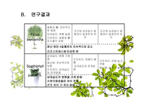 식물을 이용한 실내환경개선 시스템 개발-18