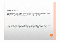 학습이론 행동주의 이론 인지주의 이론-16