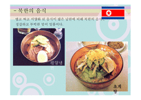 러시아와 북한 분석-19