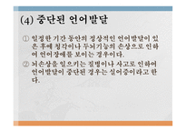 의사소통장애 보고서-12