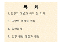 입양의 이해 레포트-2
