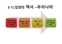 입양의 이해 레포트-9