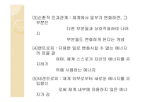 일반 체계 이론 및 생태체계 이론-11