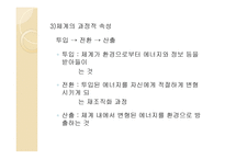 일반 체계 이론 및 생태체계 이론-12