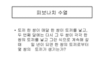 르네상스 시대의 수학-11