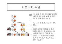 르네상스 시대의 수학-12