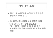 르네상스 시대의 수학-13