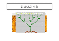 르네상스 시대의 수학-14