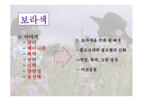 흑인 여성작가 레포트-16