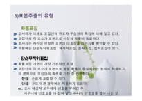 사회복지 조사론 설문조사-14