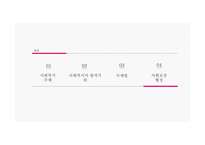 사회복지주체 및 사회복지사의 법적 지위 국제법 과 자치법규-2