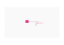 사회복지주체 및 사회복지사의 법적 지위 국제법 과 자치법규-3