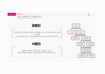 사회복지주체 및 사회복지사의 법적 지위 국제법 과 자치법규-8
