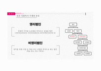 사회복지주체 및 사회복지사의 법적 지위 국제법 과 자치법규-9