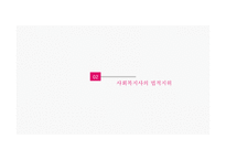 사회복지주체 및 사회복지사의 법적 지위 국제법 과 자치법규-12