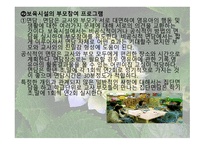 보육시설과 가족 및 지역사회 연계-11