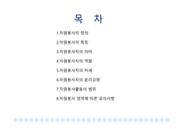 사회복지 개론 자원봉사-2