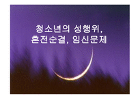 청소년의 성행위 혼전순결 임신 문제-1