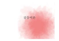 갈등 이론 레포트-1