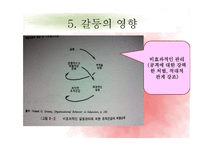 갈등 이론 레포트-14