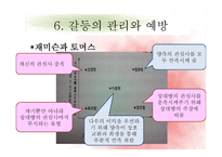 갈등 이론 레포트-18