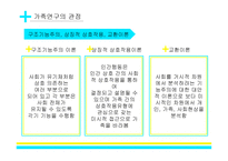 가족과 가족복지의 이해-12