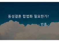 동성결혼 합법화 반대팀-10