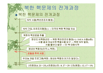 북한“핵”문제의 쟁점과 해법 모색-3