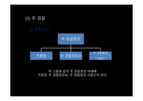 호주의 경찰 레포트-16