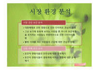 사업계획서 콩 다이어트 음료-13