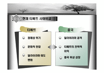다시 시작되는 티베트 분쟁-8