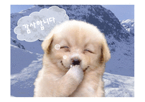 발달장애와 치료레크리에이션1-18